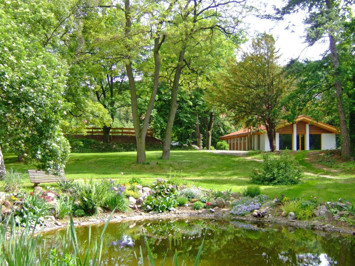Harzer Feriengarten 5***** Bad Suderode Exterior foto